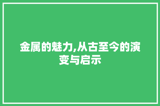 金属的魅力,从古至今的演变与启示