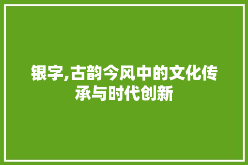 银字,古韵今风中的文化传承与时代创新