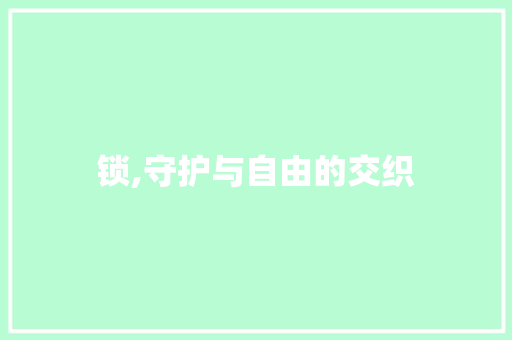 锁,守护与自由的交织