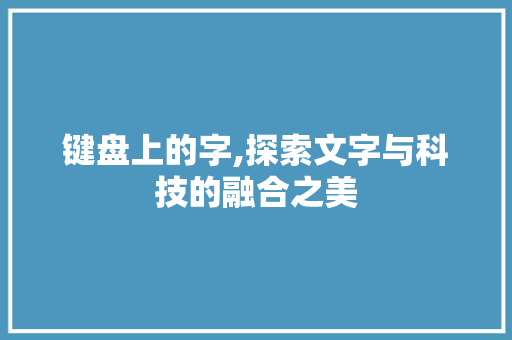 键盘上的字,探索文字与科技的融合之美