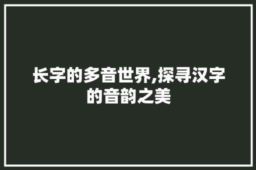 长字的多音世界,探寻汉字的音韵之美