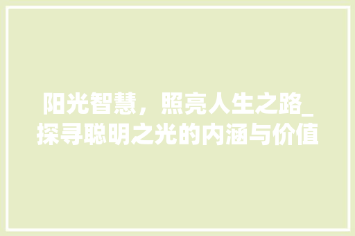 阳光智慧，照亮人生之路_探寻聪明之光的内涵与价值