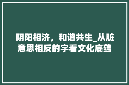 阴阳相济，和谐共生_从脏意思相反的字看文化底蕴