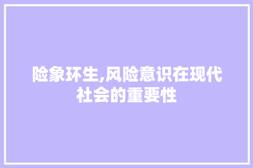 险象环生,风险意识在现代社会的重要性