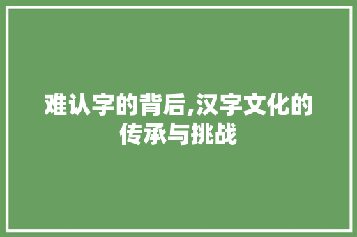 难认字的背后,汉字文化的传承与挑战 应用文