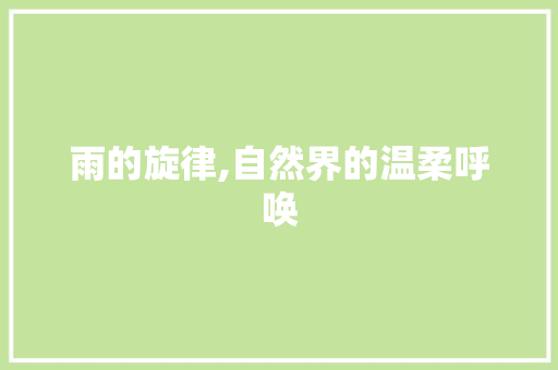 雨的旋律,自然界的温柔呼唤 工作总结