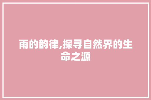 雨的韵律,探寻自然界的生命之源