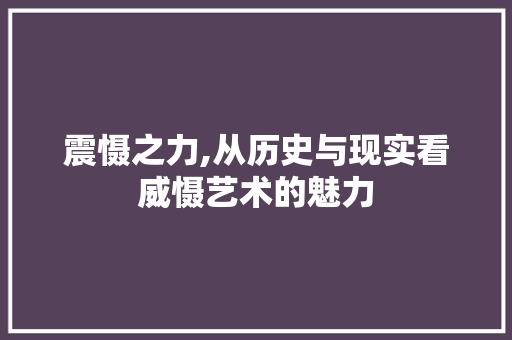 震慑之力,从历史与现实看威慑艺术的魅力