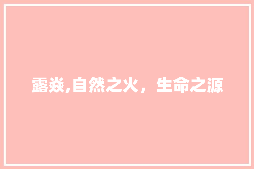露焱,自然之火，生命之源