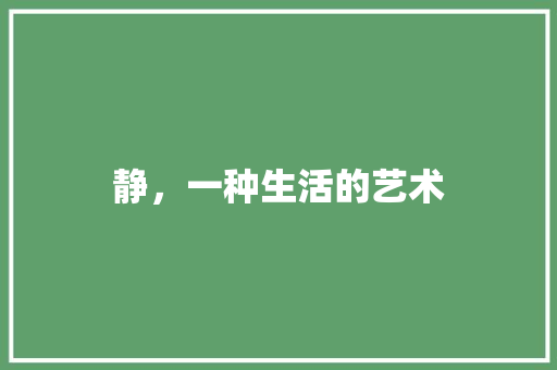 静，一种生活的艺术