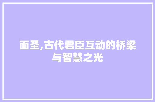 面圣,古代君臣互动的桥梁与智慧之光 职场写作