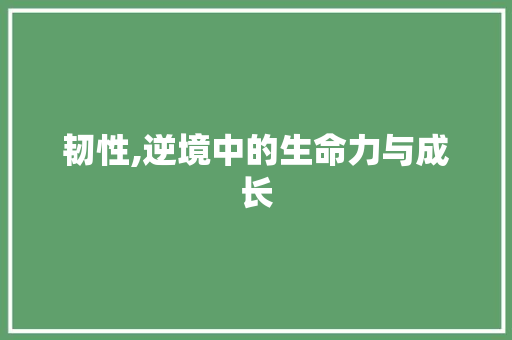韧性,逆境中的生命力与成长