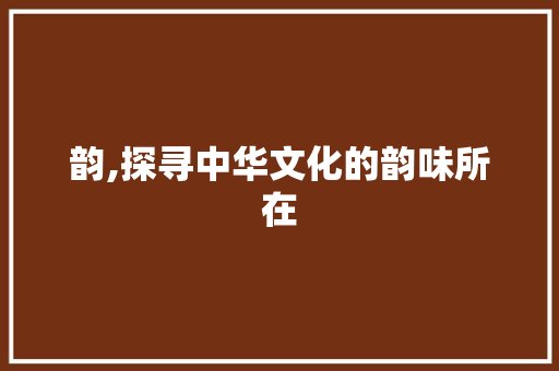 韵,探寻中华文化的韵味所在