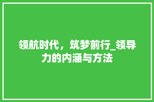领航时代，筑梦前行_领导力的内涵与方法