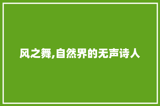 风之舞,自然界的无声诗人