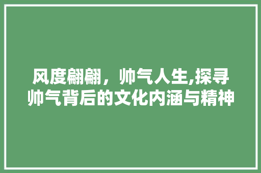 风度翩翩，帅气人生,探寻帅气背后的文化内涵与精神气质