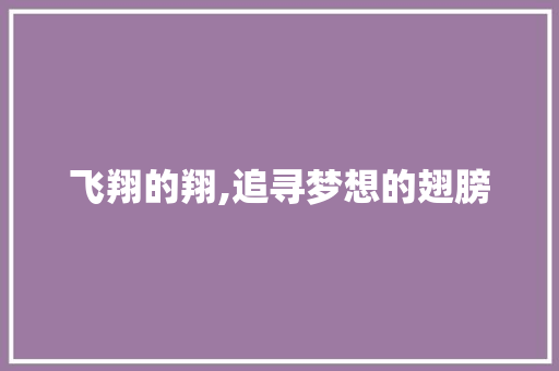 飞翔的翔,追寻梦想的翅膀