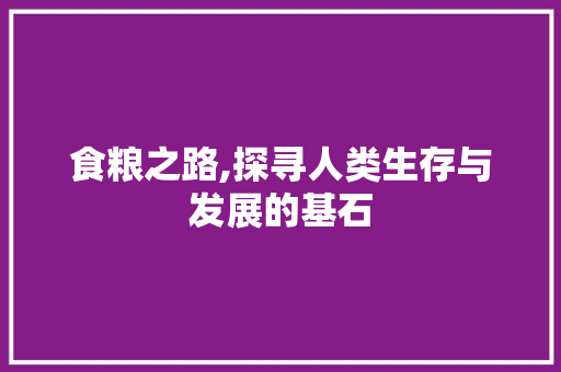 食粮之路,探寻人类生存与发展的基石