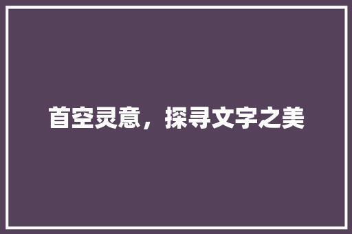 首空灵意，探寻文字之美 社交媒体