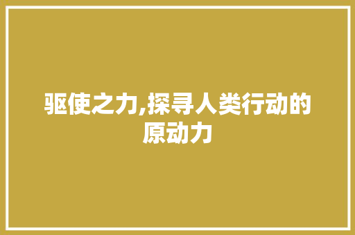 驱使之力,探寻人类行动的原动力