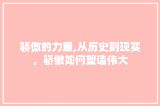 骄傲的力量,从历史到现实，骄傲如何塑造伟大 项目报告
