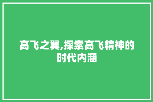 高飞之翼,探索高飞精神的时代内涵 职场写作