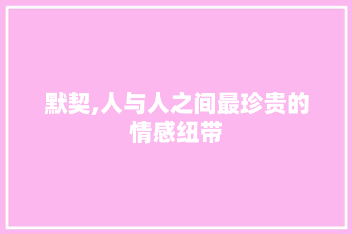 默契,人与人之间最珍贵的情感纽带