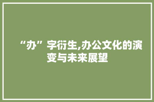 “办”字衍生,办公文化的演变与未来展望