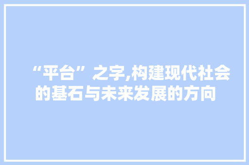 “平台”之字,构建现代社会的基石与未来发展的方向