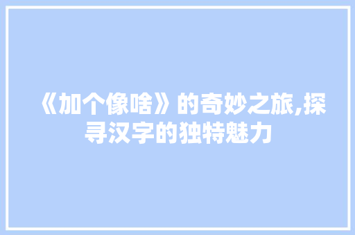 《加个像啥》的奇妙之旅,探寻汉字的独特魅力