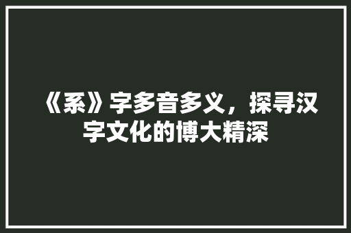 《系》字多音多义，探寻汉字文化的博大精深 工作总结