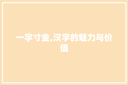 一字寸金,汉字的魅力与价值