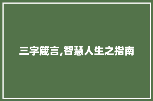 三字箴言,智慧人生之指南
