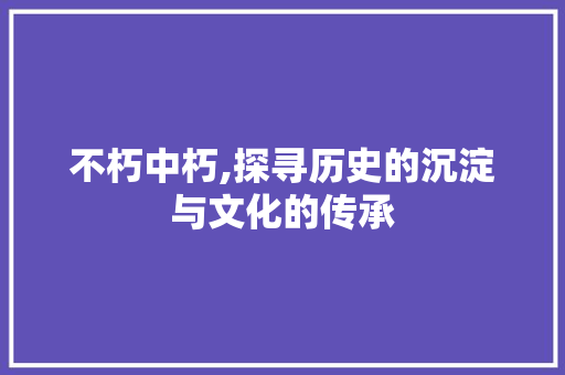 不朽中朽,探寻历史的沉淀与文化的传承