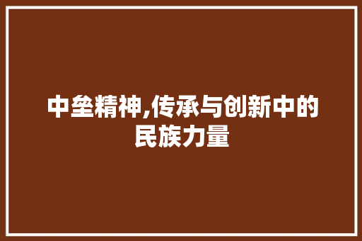 中垒精神,传承与创新中的民族力量