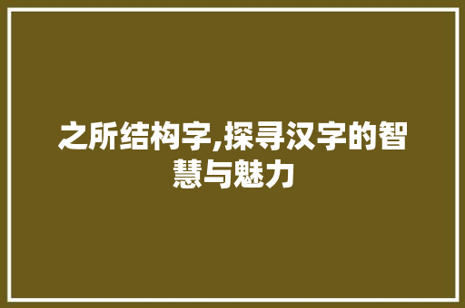 之所结构字,探寻汉字的智慧与魅力