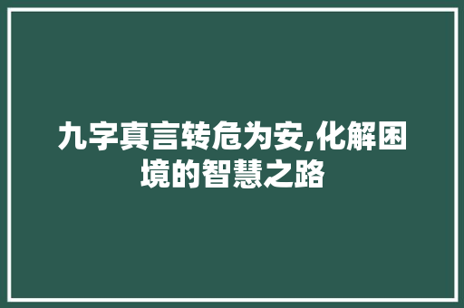 九字真言转危为安,化解困境的智慧之路