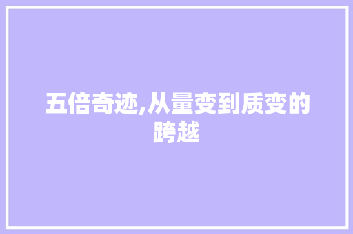 五倍奇迹,从量变到质变的跨越