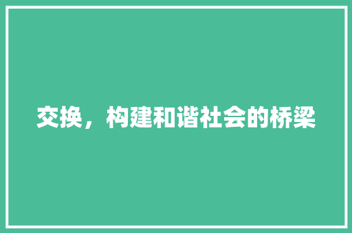 交换，构建和谐社会的桥梁