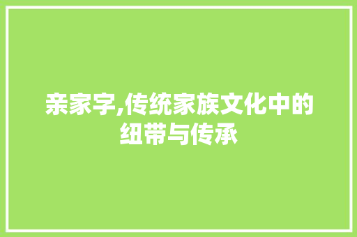 亲家字,传统家族文化中的纽带与传承