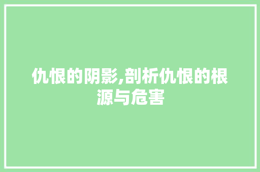 仇恨的阴影,剖析仇恨的根源与危害 职场写作