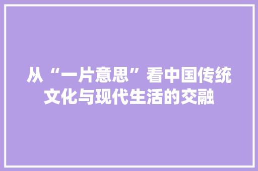 从“一片意思”看中国传统文化与现代生活的交融