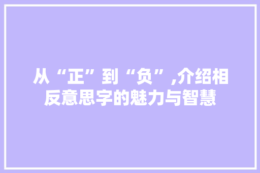 从“正”到“负”,介绍相反意思字的魅力与智慧