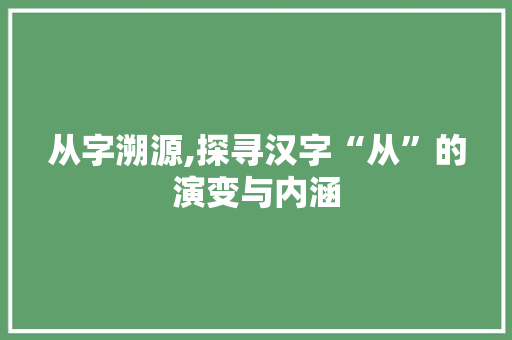 从字溯源,探寻汉字“从”的演变与内涵