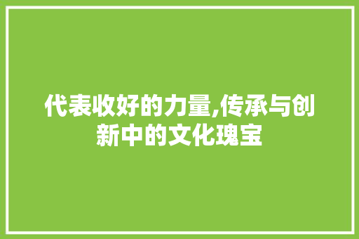 代表收好的力量,传承与创新中的文化瑰宝