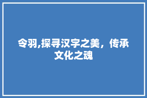 令羽,探寻汉字之美，传承文化之魂