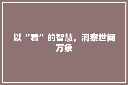 以“看”的智慧，洞察世间万象