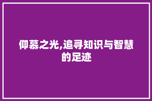 仰慕之光,追寻知识与智慧的足迹