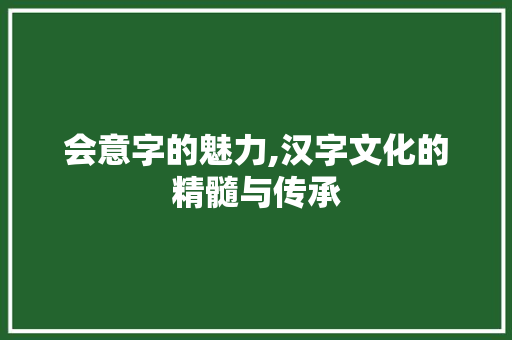 会意字的魅力,汉字文化的精髓与传承