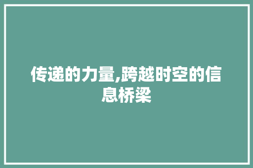 传递的力量,跨越时空的信息桥梁